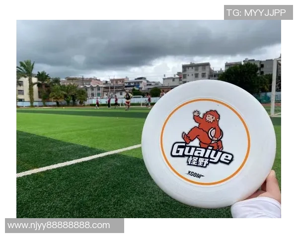 飞盘飞扬：武汉飞盘队的拼搏与梦想成长之路